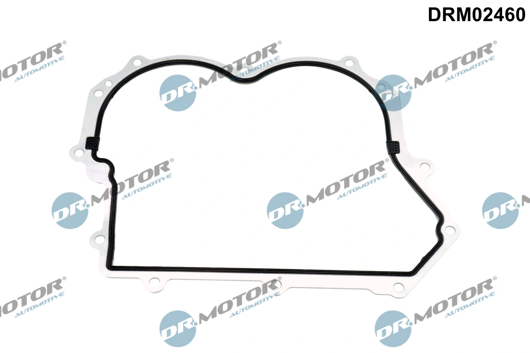 Gasket, timing case cover